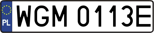 WGM0113E