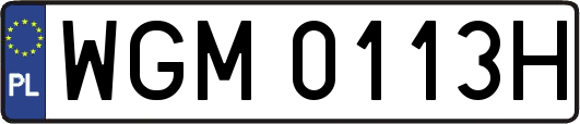 WGM0113H