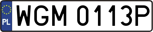 WGM0113P