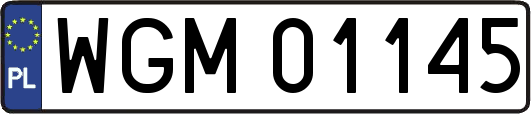 WGM01145