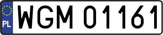 WGM01161