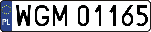 WGM01165