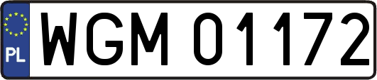 WGM01172