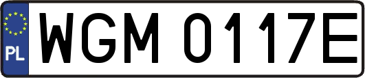 WGM0117E
