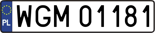 WGM01181