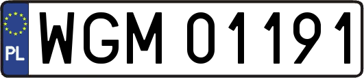 WGM01191