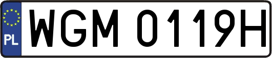 WGM0119H