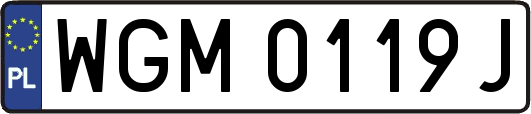 WGM0119J