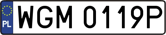 WGM0119P