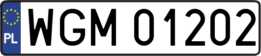 WGM01202