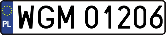 WGM01206