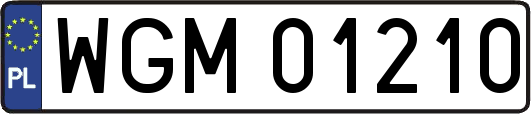 WGM01210