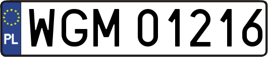 WGM01216