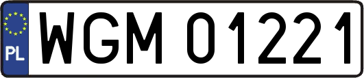WGM01221