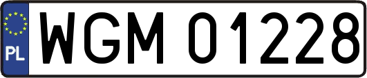 WGM01228