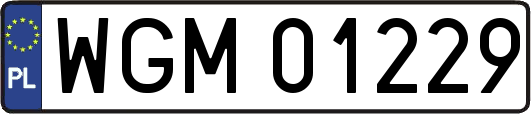 WGM01229