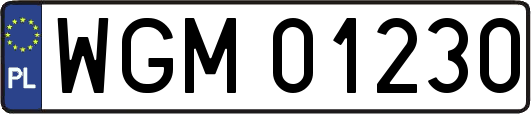 WGM01230