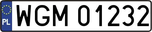 WGM01232