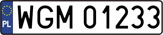 WGM01233