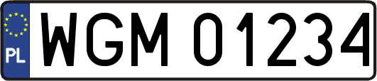 WGM01234