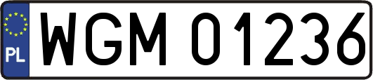 WGM01236