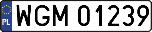 WGM01239