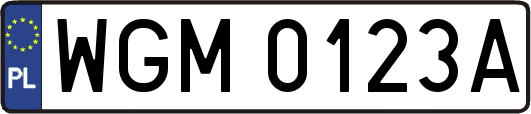 WGM0123A