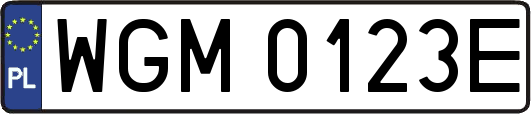 WGM0123E
