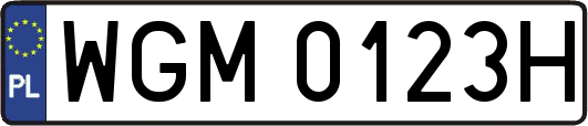WGM0123H