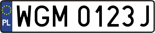 WGM0123J
