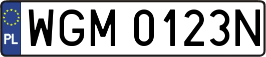 WGM0123N