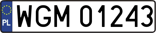WGM01243