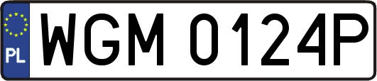 WGM0124P