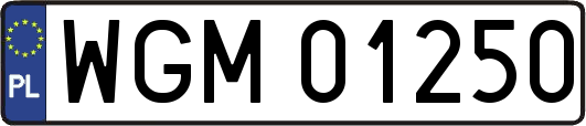 WGM01250