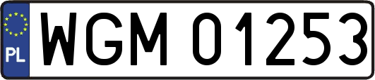 WGM01253