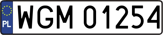 WGM01254