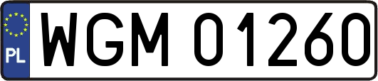WGM01260
