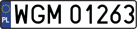 WGM01263
