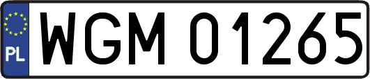 WGM01265