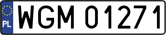 WGM01271