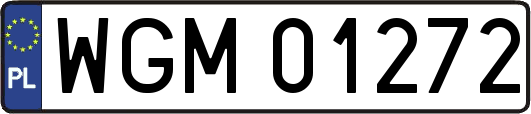 WGM01272