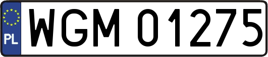 WGM01275