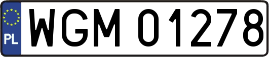 WGM01278