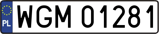 WGM01281
