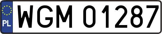 WGM01287