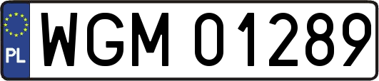 WGM01289