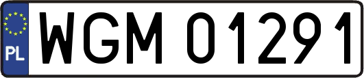 WGM01291