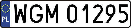 WGM01295