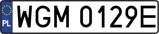 WGM0129E