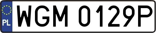 WGM0129P